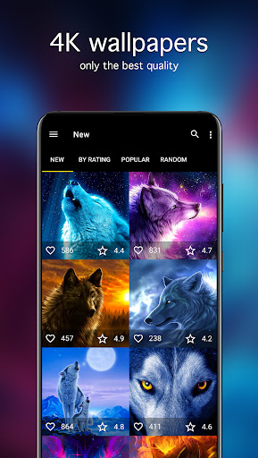 Screenshot of Wolf Wallpapers 4K