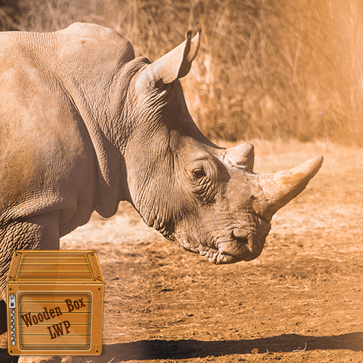 rhinoceros wallpaper for  Android – Latest Version & Features app icon