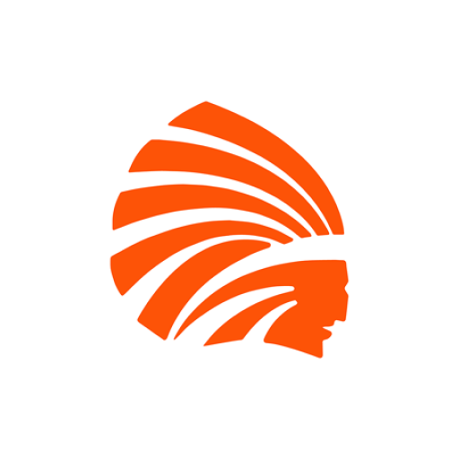 Dyer County Schools, TN logo