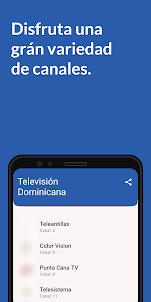 Televisión Dominicana - Canale