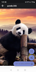 Imágen 15 Pandas Fondos de Pantalla android
