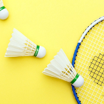 Cover Image of ดาวน์โหลด Badminton Wallpapers  APK