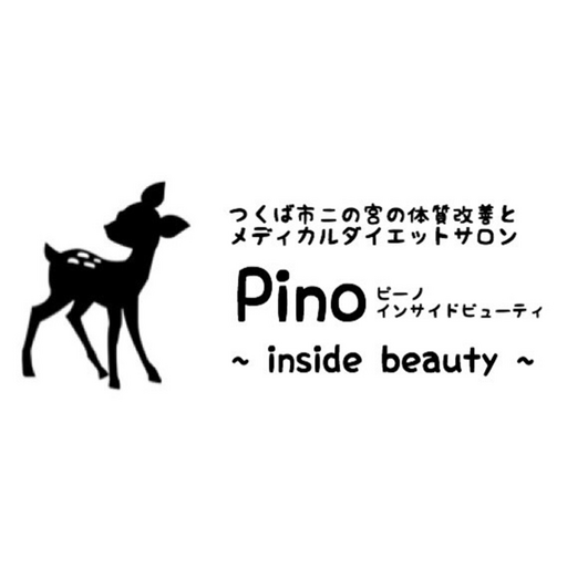茨城県つくば市 【Pino】 logo