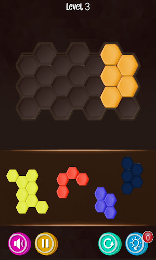 Block Hexa Puzzle Screen 2