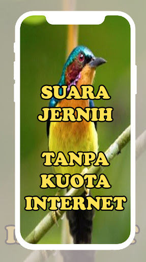 Suara Pikat Burung Kolibri Wulung Offline