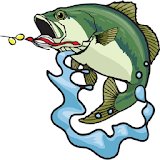 Bass Fishing For Beginners icon