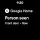 screenshot of Google Home