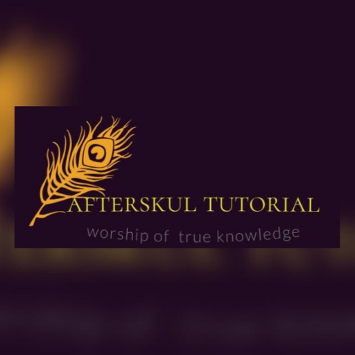 afterskull logo