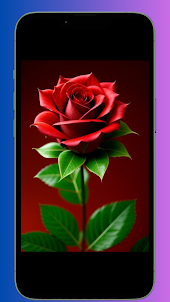 Rose Live Flower HD Wallpaper