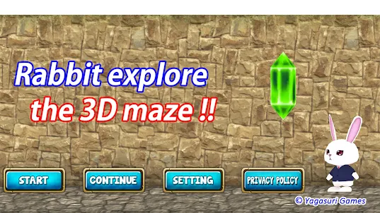 Rabbit explore the 3D maze!!