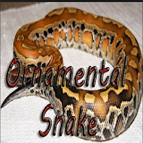 Ornamental Snake icon