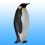 Flying penguin icon