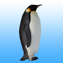 Descargar Flying penguin Instalar Más reciente APK descargador
