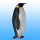 Flying penguin تنزيل على نظام Windows