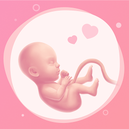 Imagen de icono Mi embarazo. Calendario app