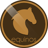 Equinos icon