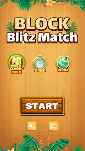 Block Blitz Match
