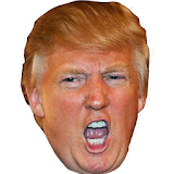 Trump Bird icon