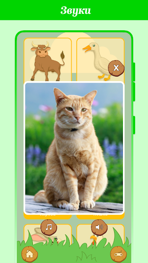 Карточки для детей Screen 3