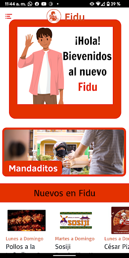 FIDU Screen 2
