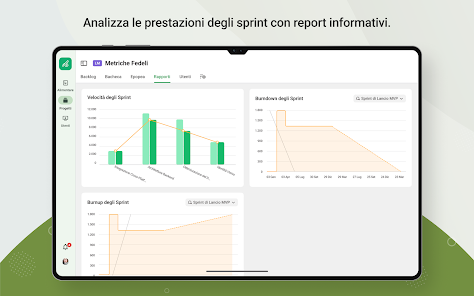 Immagine screenshot