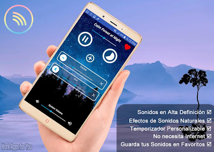 Vista previa de la aplicación