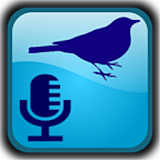 BirdUp - birdsong recognition icon