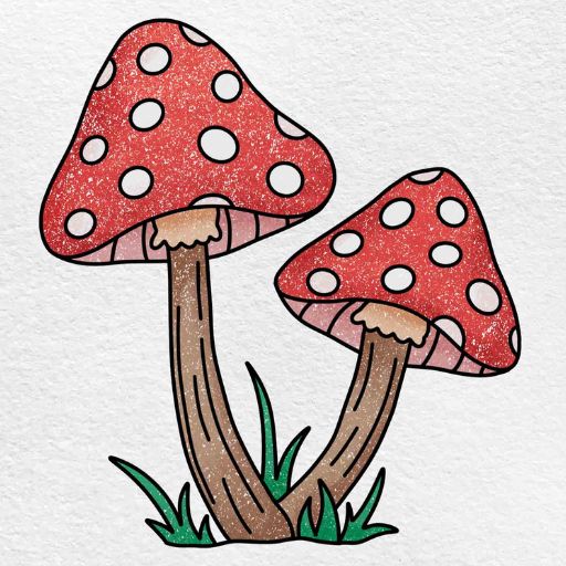 Mushroom Wallpapers