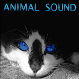 Animal Sound icon