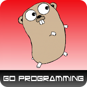 Learn go programming