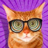 Cat Hypnosis. Simulator icon