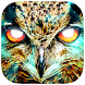 Shamanic Oracle Cards - Androidアプリ