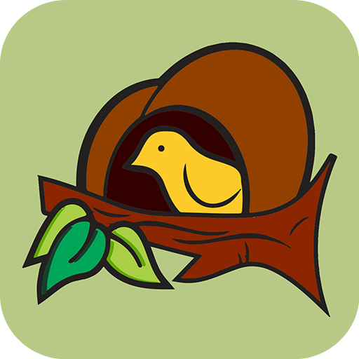 Escola João-de-Barro