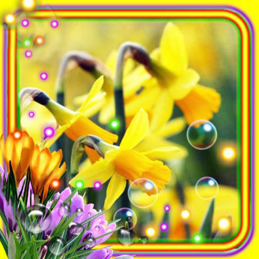 Crocusses n Narcissus Flowers