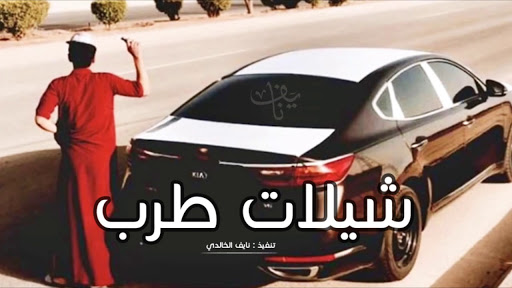 شيلات سعودية بدون نت Screen 3