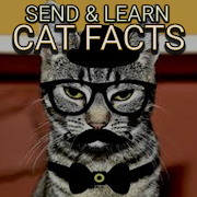 Cat Fact Attack!