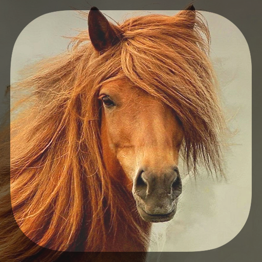 Horses Live Wallpaper 1.2.8 Icon