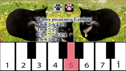 Maxwell the Cat piano