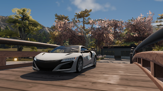 Car Parking Multiplayer 2 5