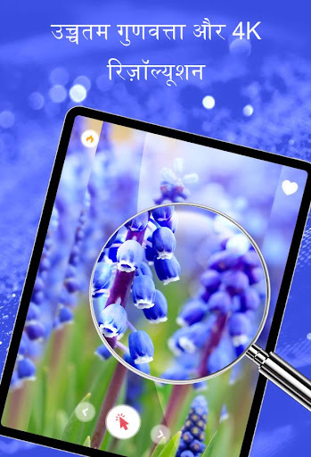 वसंत वॉलपेपर