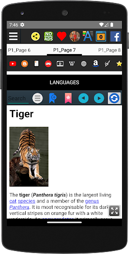 Lion vs Tiger Animal Fights