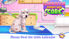 screenshot of Labrador Puppy Day Care