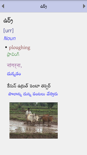 Android application Kolami Dictionary screenshort