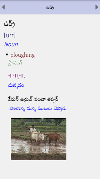 Kolami Dictionary - 1.0.7 - (Android)