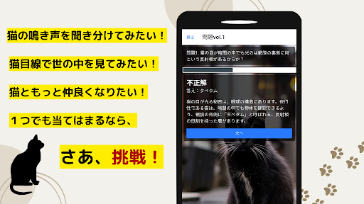 ねこ検定トレーニング　模擬テスト