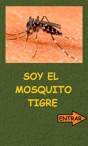 MOSQUITO TIGRE