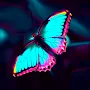Neon Butterfly Wallpapers