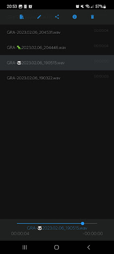 Voice Recorder 32 bits Screen 3
