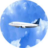 Live Airplanes Wallpaper icon