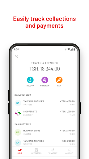 M-PESA Business Tanzania Screen 2